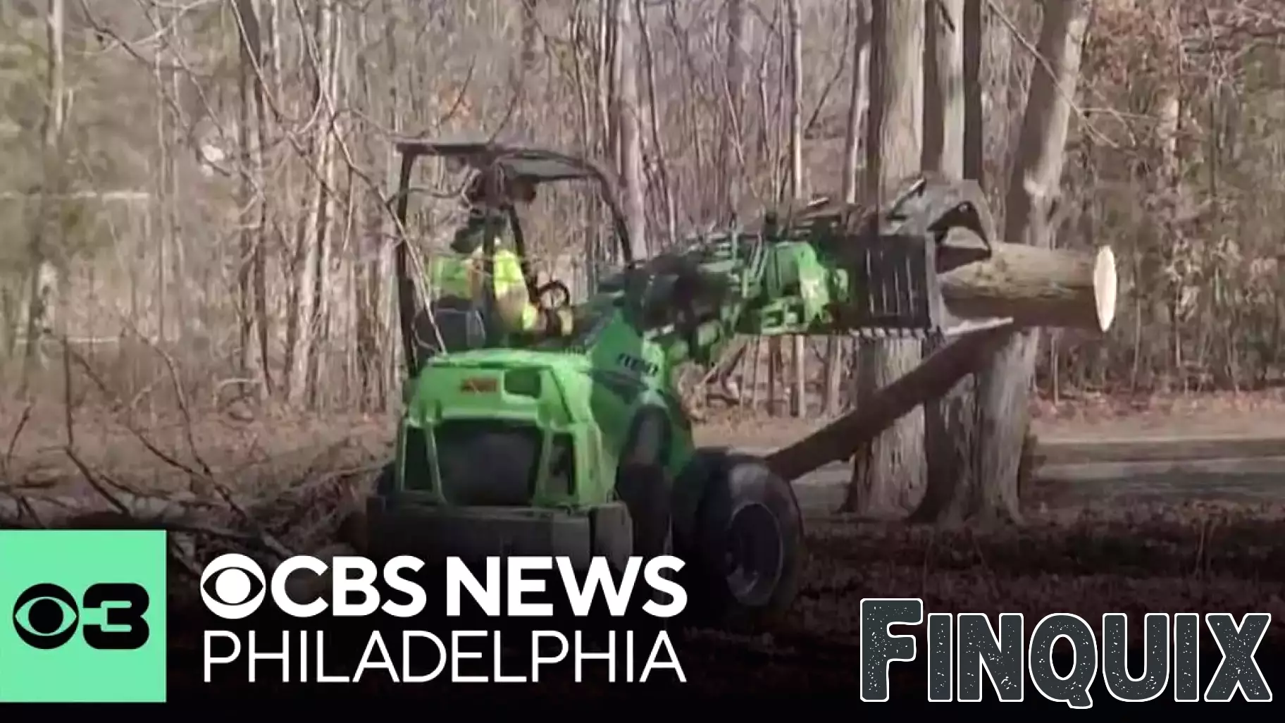 Surge in Tree Removal Services Amidst Unprecedented Windy Conditions in Philadelphia